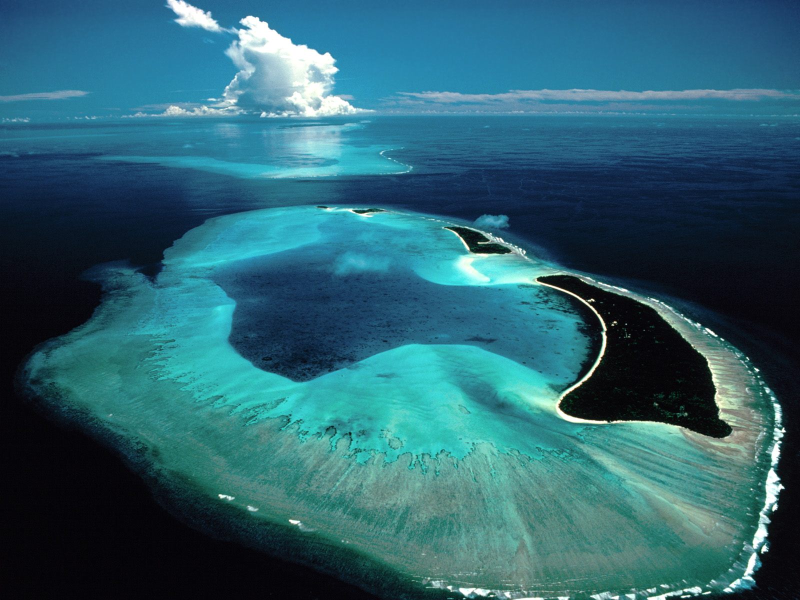 Maldives & Qatar 